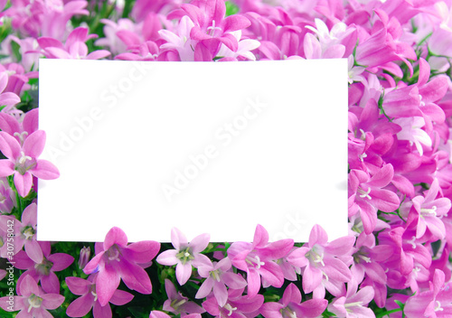 Weißer Freiraum für Text in Blüten gebettet