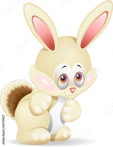 Coniglio Cartoon-Cartoon Rabbit-Vector