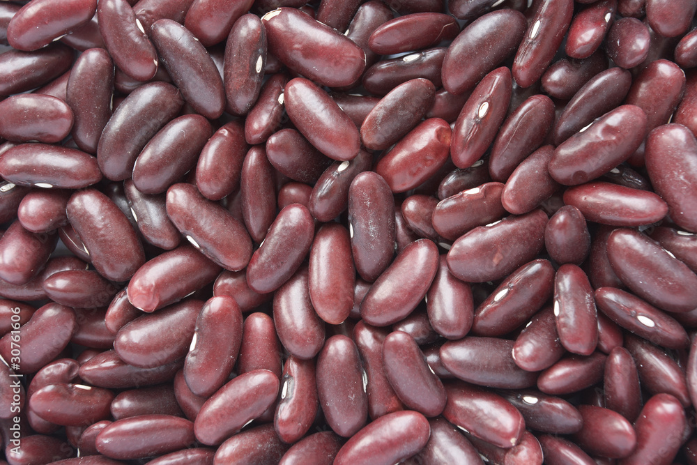 bean bean