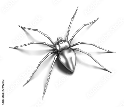 Spider - silver metallic. Black Widow. Isolated on white