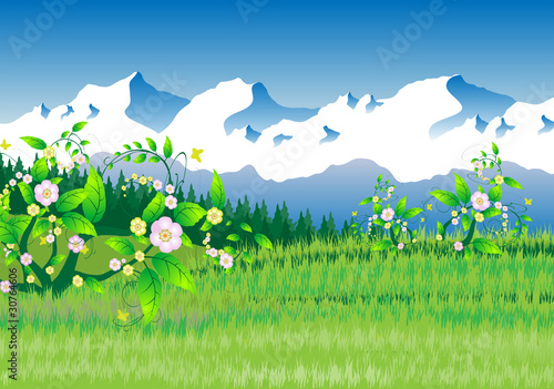 Green field