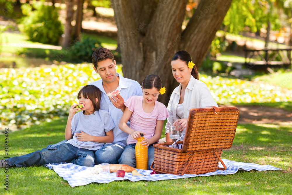 Lovely family picnicking in the park Lovely family picnicking in the park