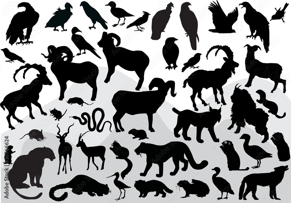 mountain animals collection isolated on white