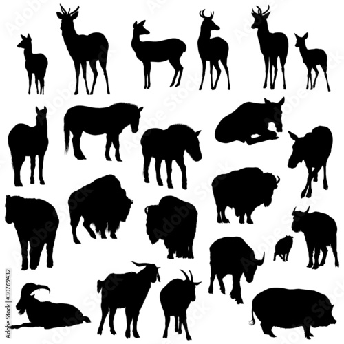 Set of deer  horses  goats  yaks  buffalos  pig   silhouettes.