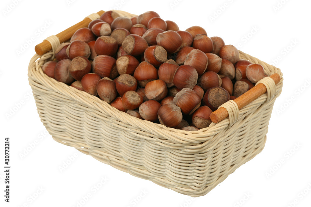 Filbert in a basket Filbert in a basket