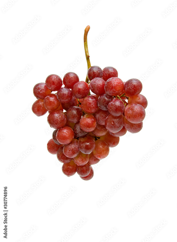bunch of grapes on a white background bunch of grapes on a white background