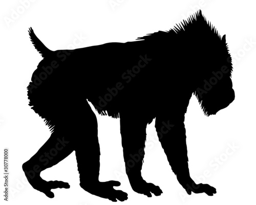 Mandrill