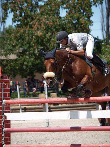 rider and his horse over the hurdle in equestrian competition