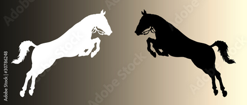 horses jump vector silhouette