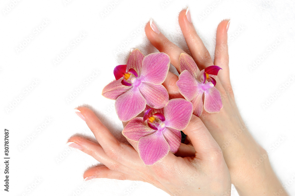 Beautiful hand with perfect nail french manicure and purple orch Beautiful hand with perfect nail french manicure and purple orch