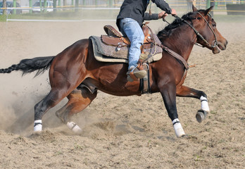Sierkussen Paardrijden Galopperend paard tijdens rodeo evenement  © VeSilvio