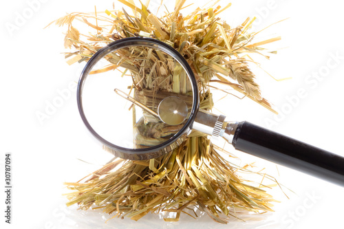 Fototapeta Search needle in a haystack