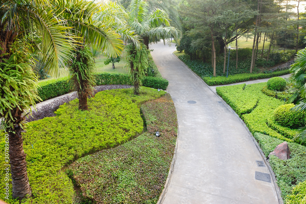 Obraz premium Road in garden