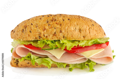 sandwich isolated on white background