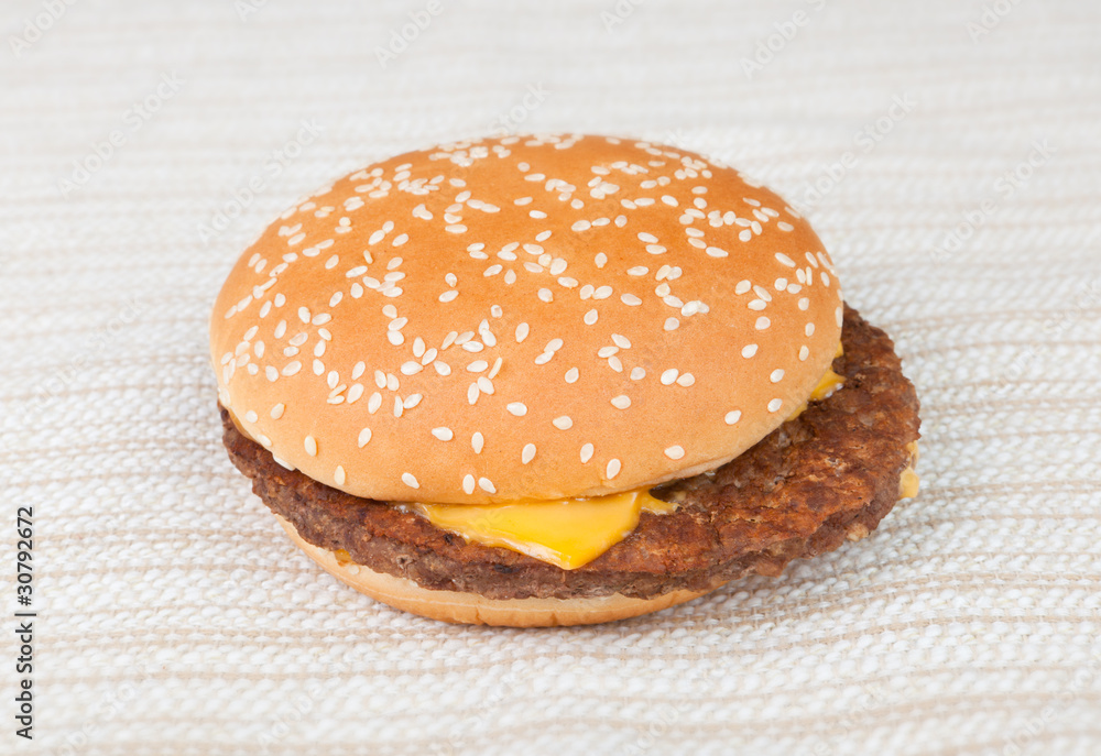 Delicious hamburger with lots of cheddar Delicious hamburger with lots of cheddar