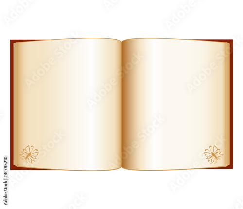 vector.  open book isolated on a white background
