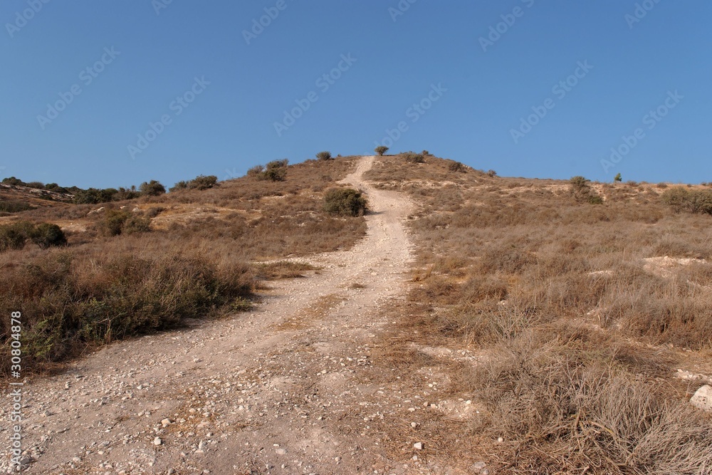 Countryside road leads to the top of yellow autumn hill