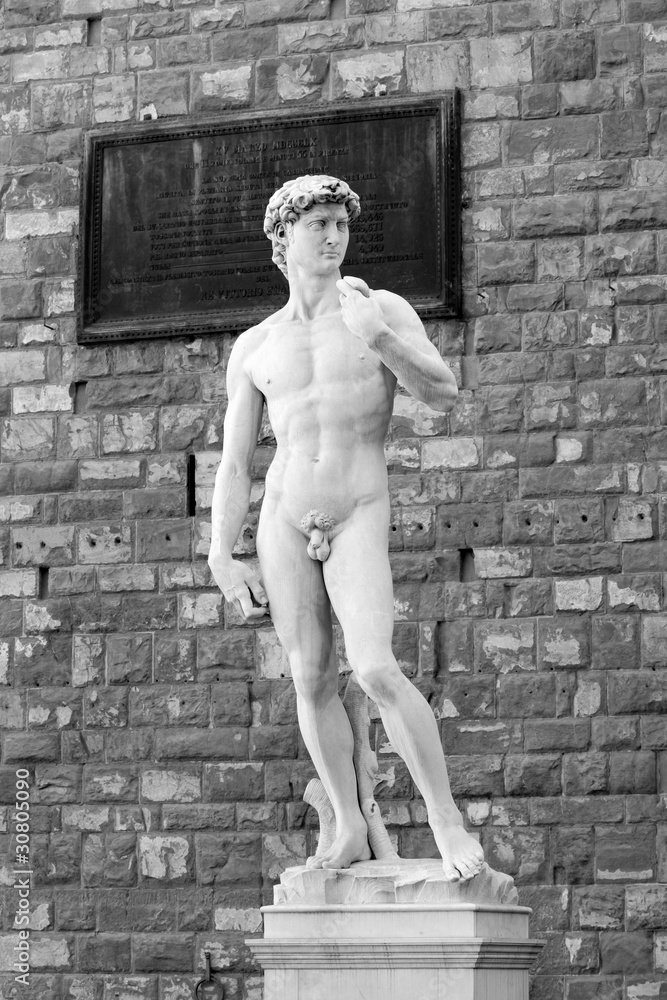 Obraz premium Michelangelo's David