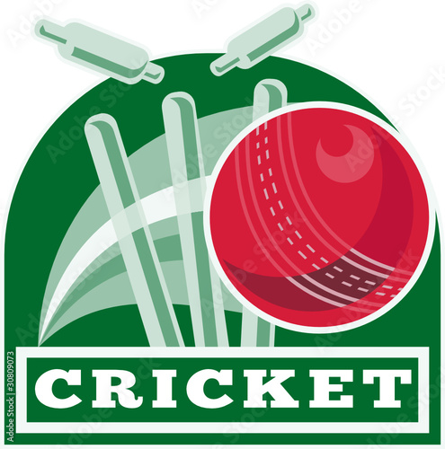 cricket sport wicket ball
