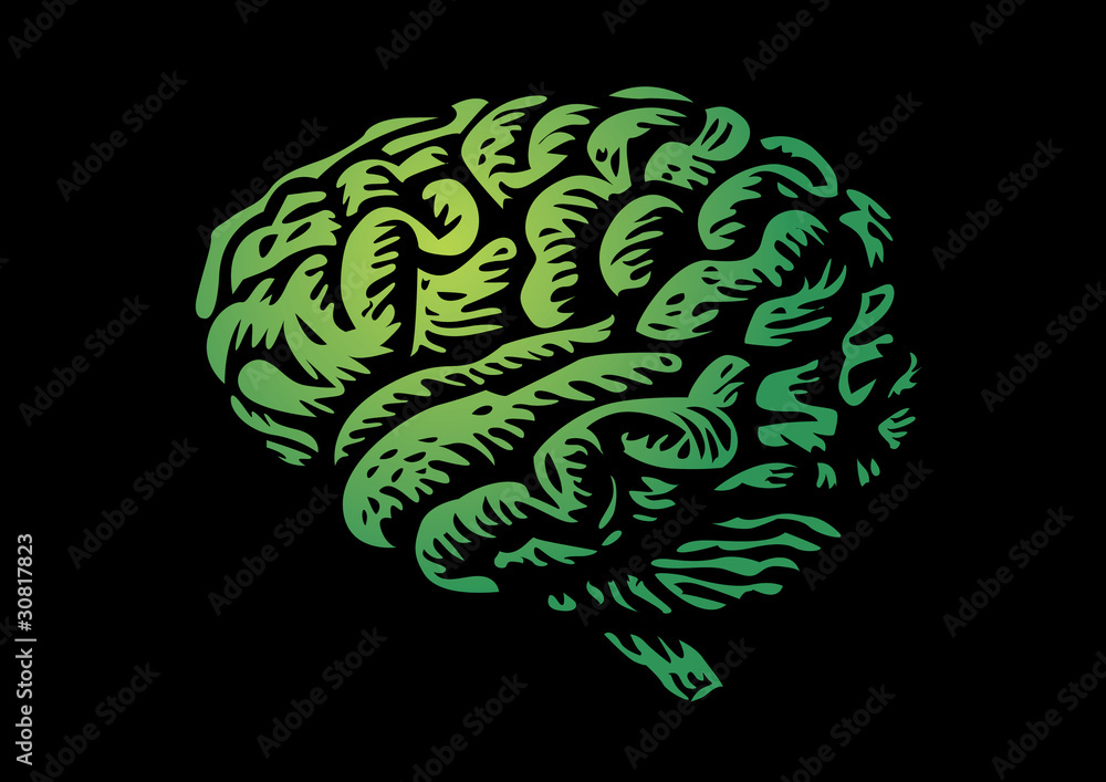 human brain isolated silhouette green illustration human brain isolated silhouette green illustration