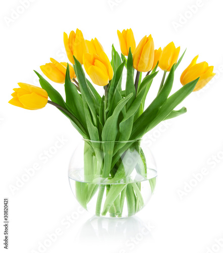 yellow tulip flowers in glass vase