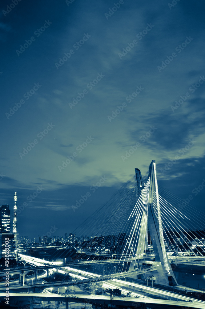 Fototapeta premium Bridge in Sao Paulo city