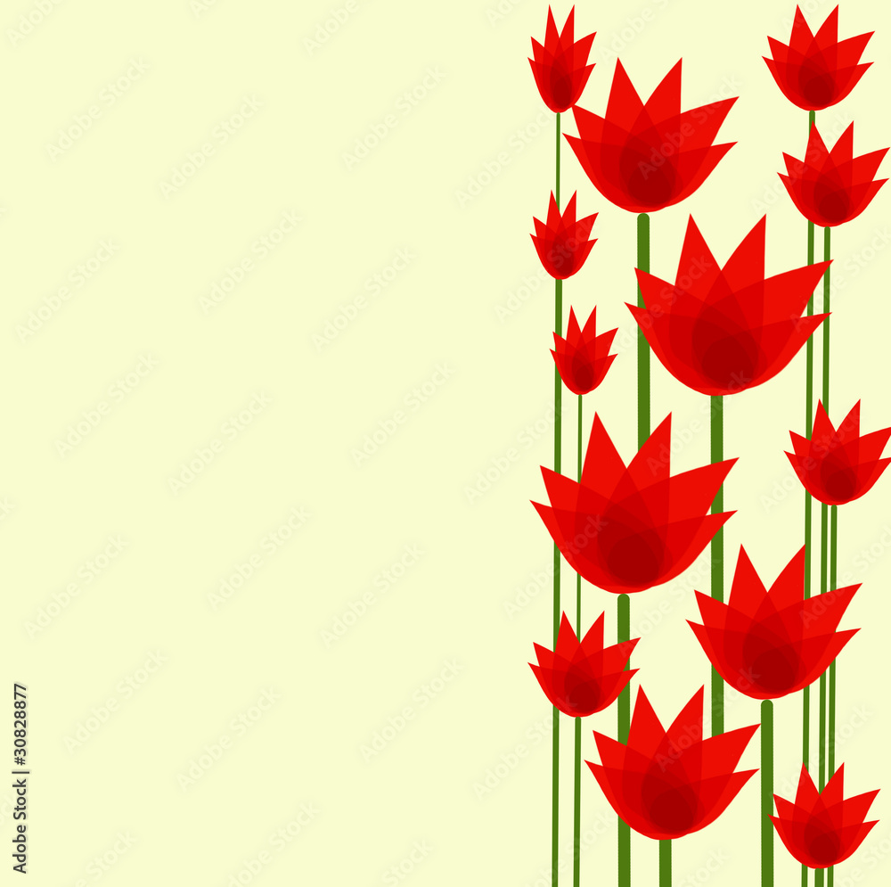 czerwone tulipany - obrazy, fototapety, plakaty 