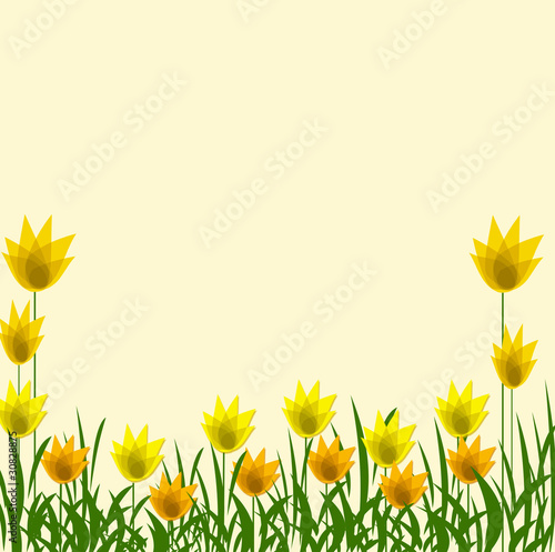 żółte tulipany