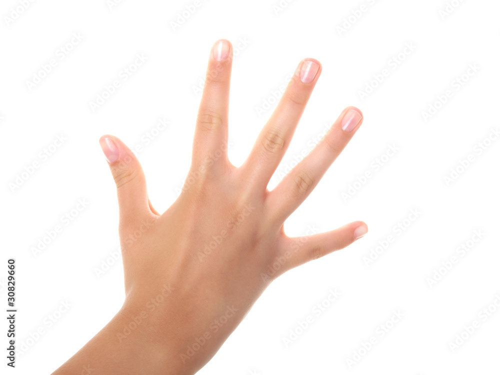 Empty open hand isolated on white background Empty open hand isolated on white background