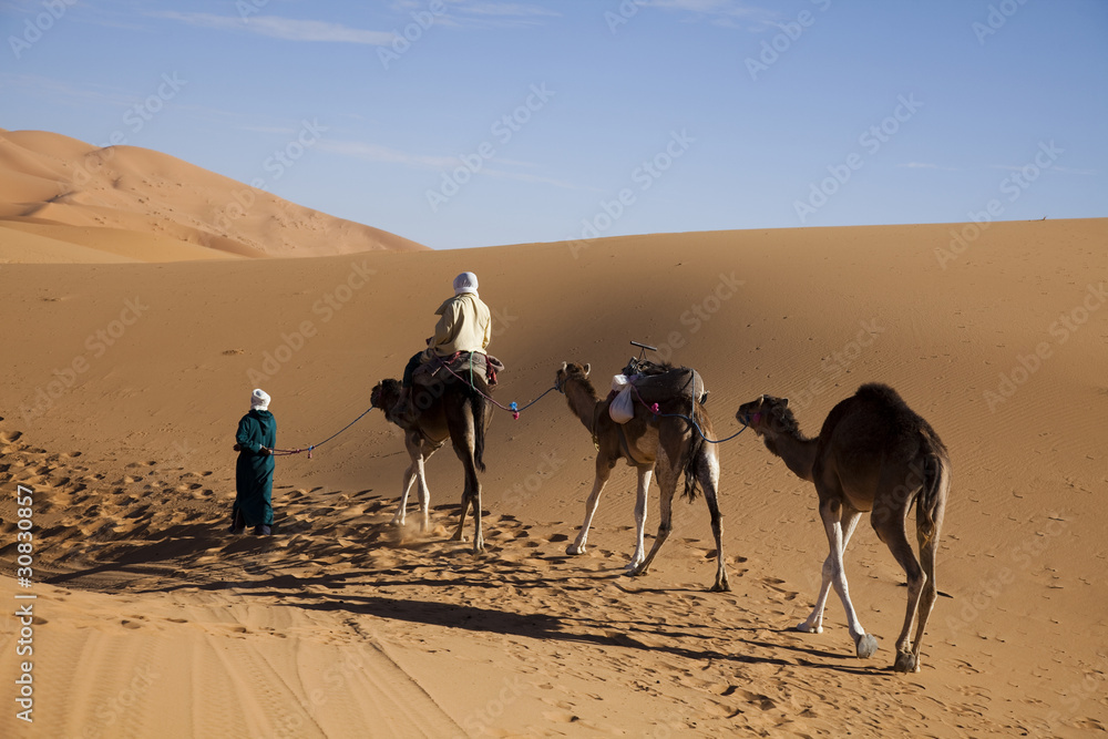 Fototapeta premium Sand Desert with Dunes in Marocco, merzouga