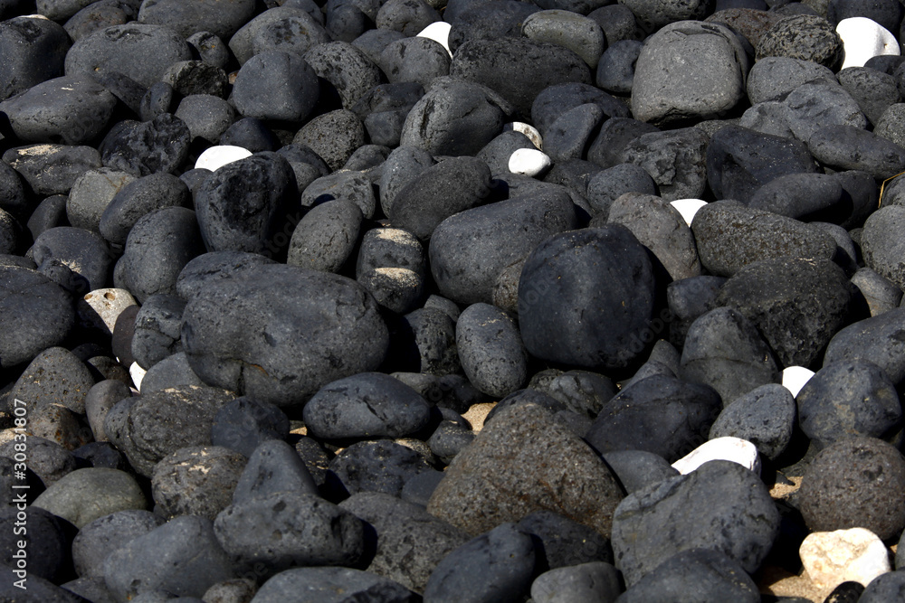 one white stone standing out among gray ones one white stone standing out among gray ones