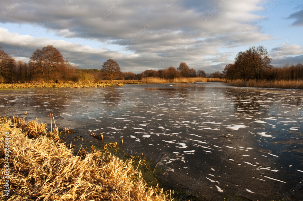 Fototapeta premium Wielkopolski staw