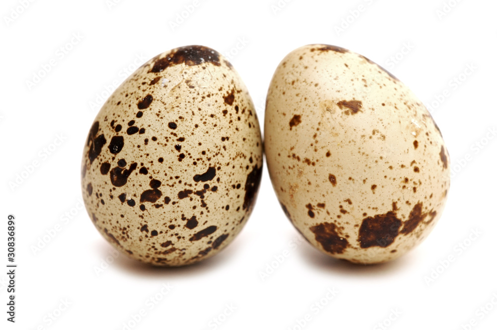 two quail eggs two quail eggs
