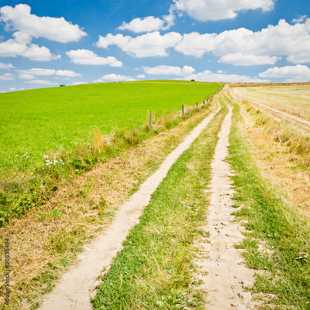 Fototapeta premium agriculture landscape
