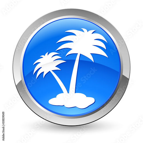 Palmen auf der Insel