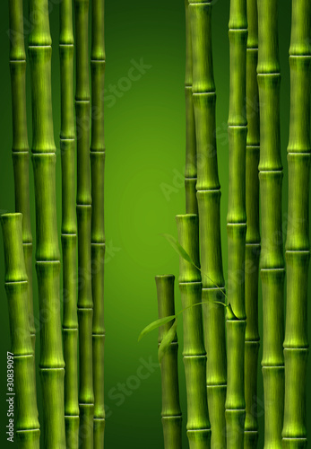 Fototapeta Naklejka Na Ścianę i Meble -  Бамбуковая роща, фон из стеблей бамбука