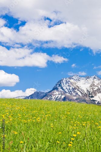 alpine landscape