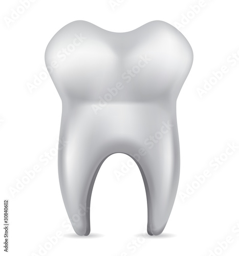 Vector illustration of tooth