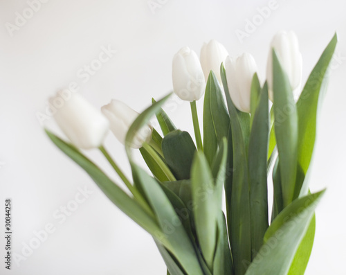 le bouquet de tulipes