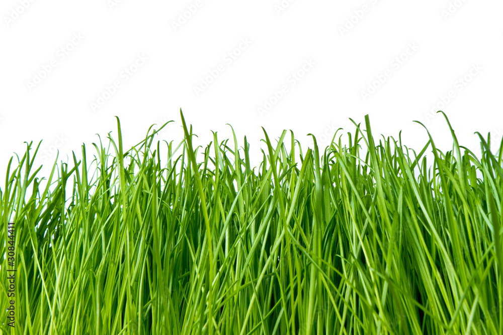 green grass green grass