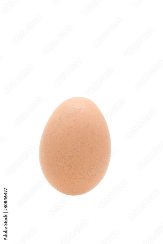 isolated egg on white isolated egg on white