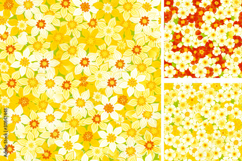 floral seamless backgrounds of spring primroses