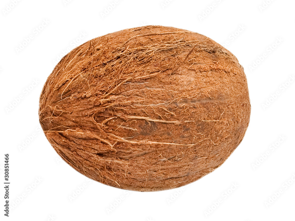 coconut isolated on white background coconut isolated on white background