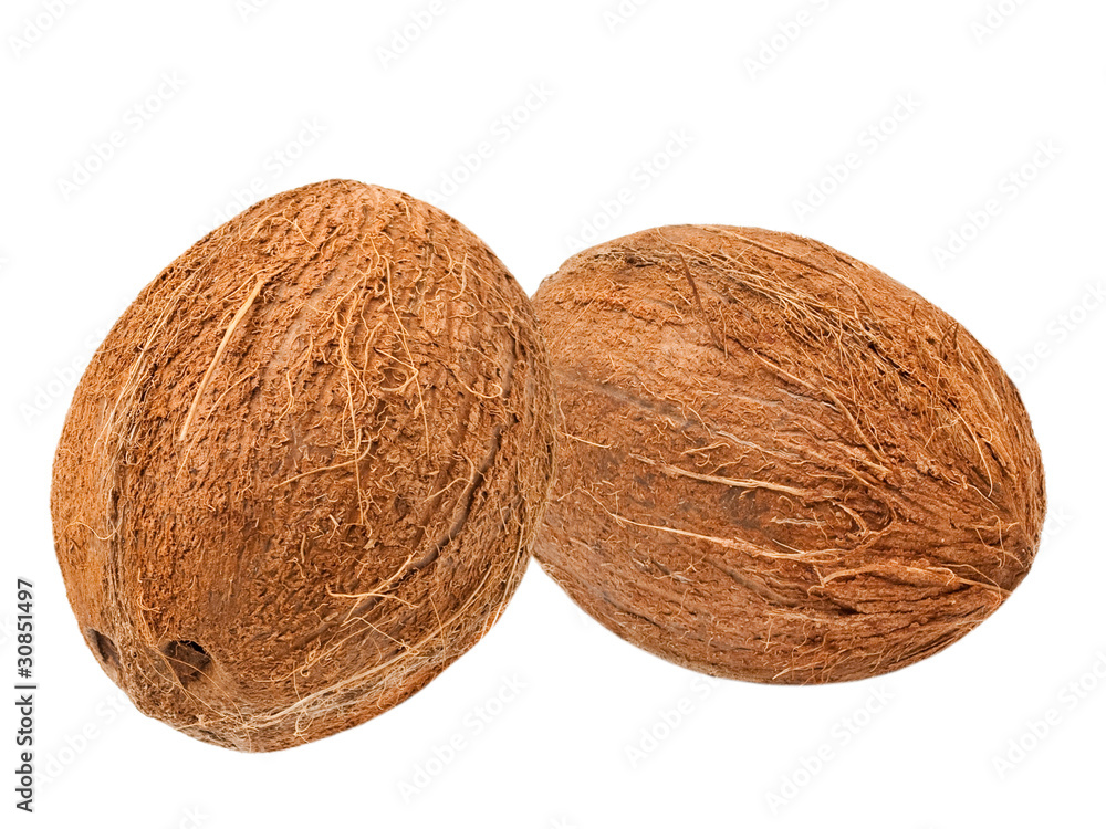 coconut isolated on white background coconut isolated on white background