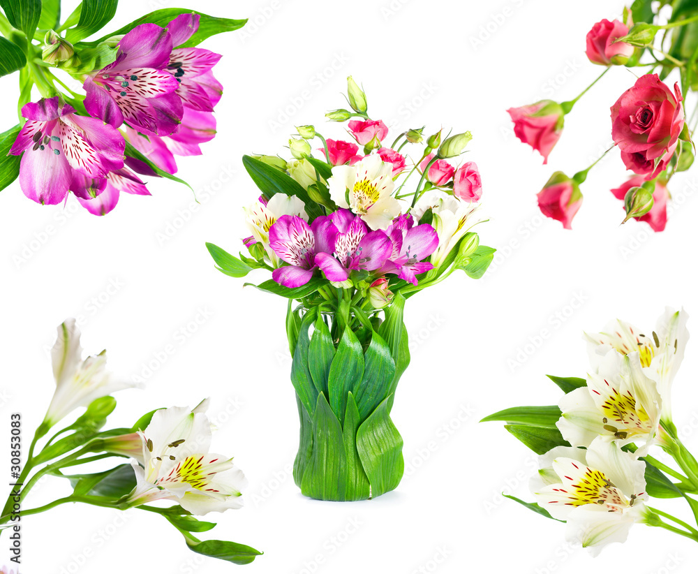 Beautiful spring flowers. Beautiful spring flowers.