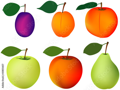 plum apricot peach apple pear
