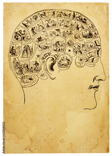 фотографія Old Phrenology Illustration