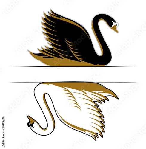 double swan