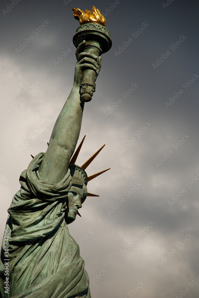 Fototapeta premium Statue of Liberty - Paris
