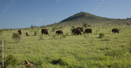 Kenia Africa _  Photo © Herby Meseritsch © Herby Meseritsch